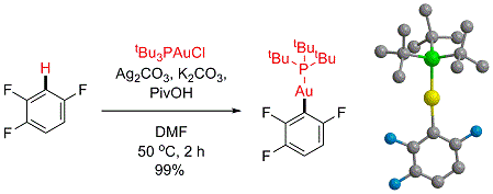 Cover image for Gold(I)-mediated C-H activation of arenes